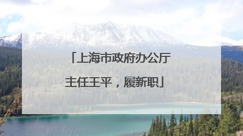 上海市政府办公厅主任王平，履新职