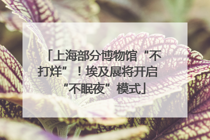 上海部分博物馆“不打烊”！埃及展将开启“不眠夜”模式