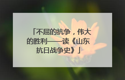 不屈的抗争，伟大的胜利——读《山东抗日战争史》