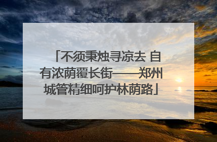 不须秉烛寻凉去 自有浓荫覆长街——郑州城管精细呵护林荫路