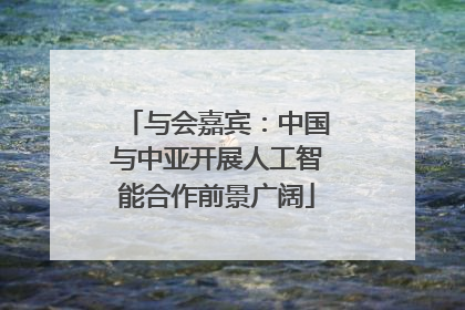 与会嘉宾：中国与中亚开展人工智能合作前景广阔
