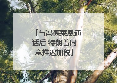 与冯德莱恩通话后 特朗普同意推迟加税