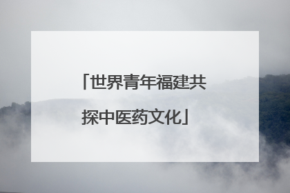 世界青年福建共探中医药文化