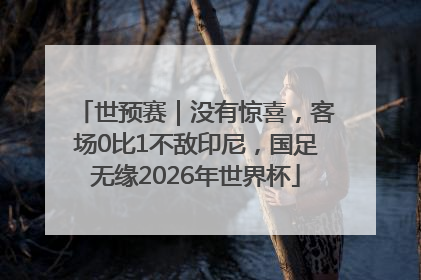 世预赛｜没有惊喜，客场0比1不敌印尼，国足无缘2026年世界杯
