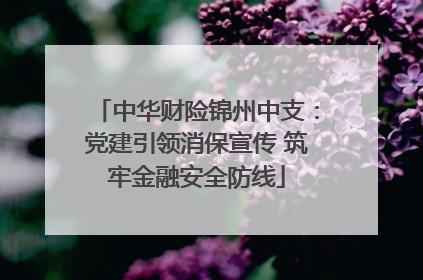 中华财险锦州中支：党建引领消保宣传 筑牢金融安全防线
