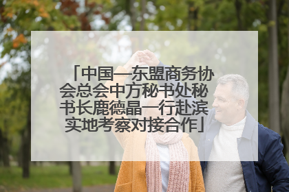 中国—东盟商务协会总会中方秘书处秘书长鹿德晶一行赴滨实地考察对接合作