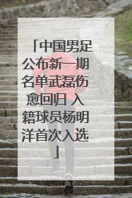 中国男足公布新一期名单武磊伤愈回归 入籍球员杨明洋首次入选