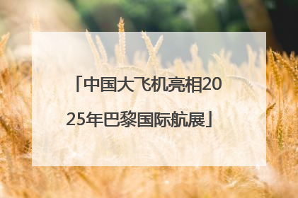 中国大飞机亮相2025年巴黎国际航展