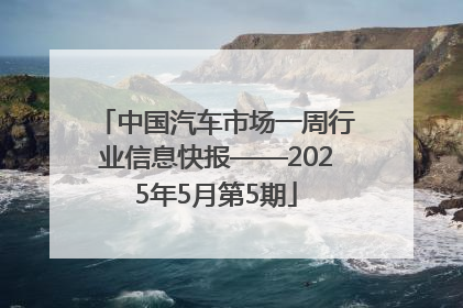 中国汽车市场一周行业信息快报——2025年5月第5期