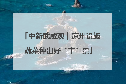 中新武威观｜凉州设施蔬菜种出好“丰”景