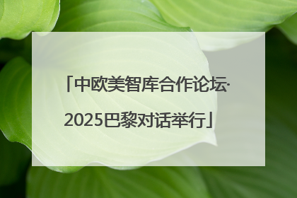 中欧美智库合作论坛·2025巴黎对话举行
