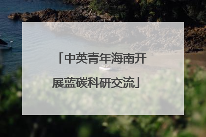 中英青年海南开展蓝碳科研交流