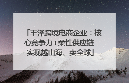 丰泽跨境电商企业：核心竞争力+柔性供应链 实现越山海、卖全球