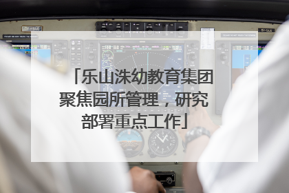 乐山洙幼教育集团聚焦园所管理，研究部署重点工作