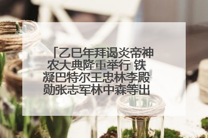 乙巳年拜谒炎帝神农大典隆重举行 铁凝巴特尔王忠林李殿勋张志军林中森等出席 孙伟主持
