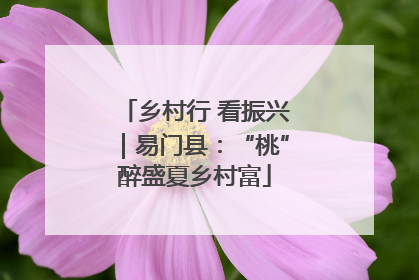 乡村行 看振兴｜易门县：“桃”醉盛夏乡村富