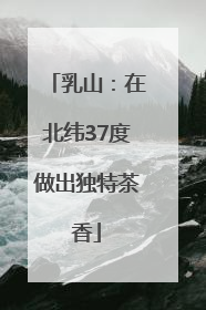 乳山：在北纬37度做出独特茶香