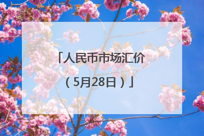 人民币市场汇价（5月28日）