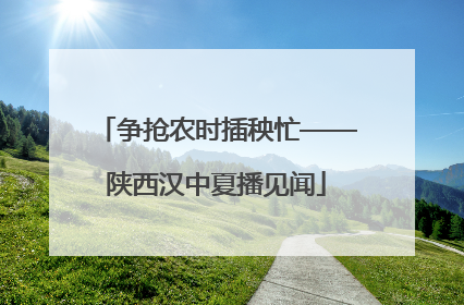 争抢农时插秧忙——陕西汉中夏播见闻