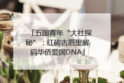 五国青年“大社探秘”：红砖古厝里解码华侨爱国DNA