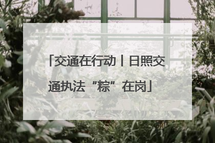 交通在行动丨日照交通执法“粽”在岗