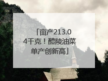 亩产213.04千克！醴陵油菜单产创新高