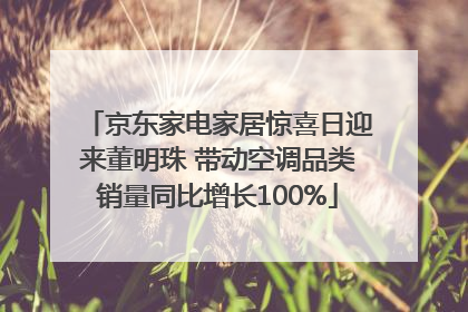 京东家电家居惊喜日迎来董明珠 带动空调品类销量同比增长100%