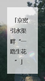 京密引水渠畔“一路生花”