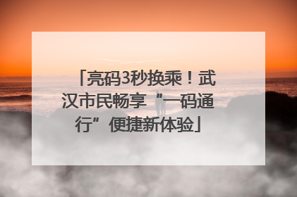 亮码3秒换乘！武汉市民畅享“一码通行”便捷新体验