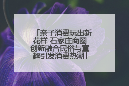 亲子消费玩出新花样 石家庄商圈创新融合民俗与童趣引发消费热潮