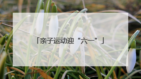 亲子运动迎“六一”