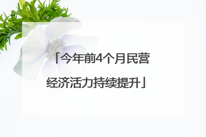今年前4个月民营经济活力持续提升