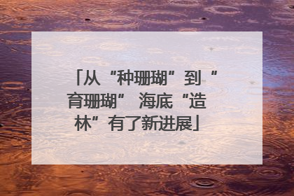 从“种珊瑚”到“育珊瑚” 海底“造林”有了新进展