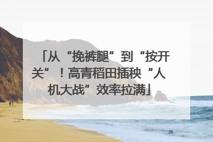从“挽裤腿”到“按开关”！高青稻田插秧“人机大战”效率拉满