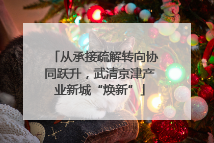 从承接疏解转向协同跃升，武清京津产业新城“焕新”