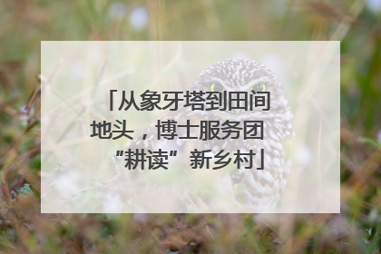 从象牙塔到田间地头，博士服务团“耕读”新乡村