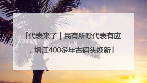 代表来了｜民有所呼代表有应，增江400多年古码头焕新