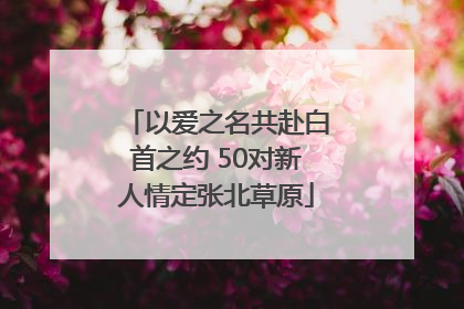 以爱之名共赴白首之约 50对新人情定张北草原