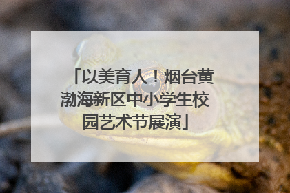 以美育人！烟台黄渤海新区中小学生校园艺术节展演