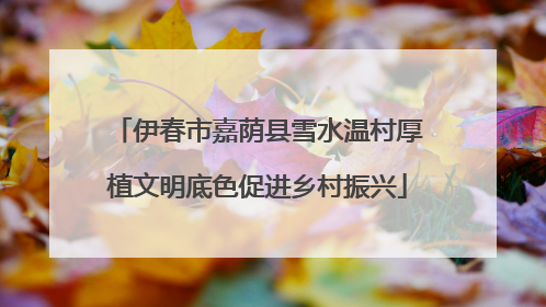 伊春市嘉荫县雪水温村厚植文明底色促进乡村振兴