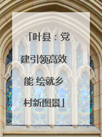 叶县：党建引领高效能 绘就乡村新图景