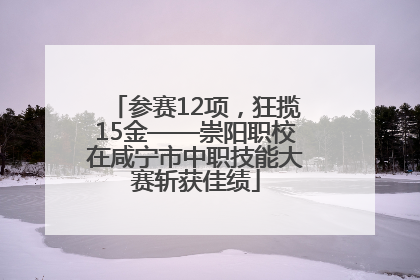参赛12项，狂揽15金——崇阳职校在咸宁市中职技能大赛斩获佳绩