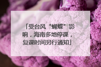 受台风“蝴蝶”影响，海南多地停课，复课时间另行通知