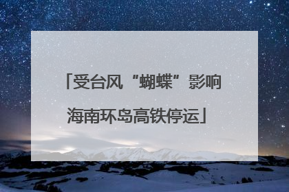受台风“蝴蝶”影响 海南环岛高铁停运