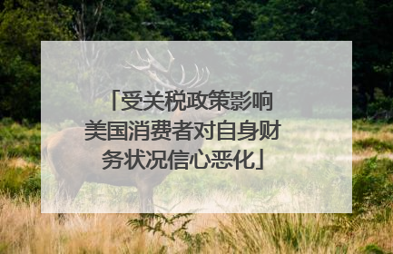 受关税政策影响 美国消费者对自身财务状况信心恶化