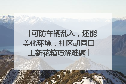 可防车辆乱入，还能美化环境，社区胡同口上新花箱巧解难题