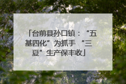 台前县孙口镇：“五基四化”为抓手 “三夏”生产保丰收