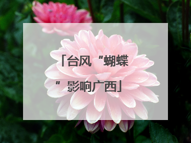 台风“蝴蝶”影响广西