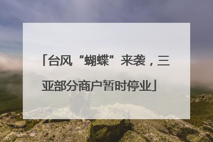 台风“蝴蝶”来袭，三亚部分商户暂时停业