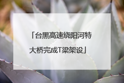 台黑高速绕阳河特大桥完成T梁架设